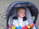 IMG 0310