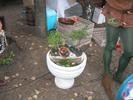 IMG 0336a