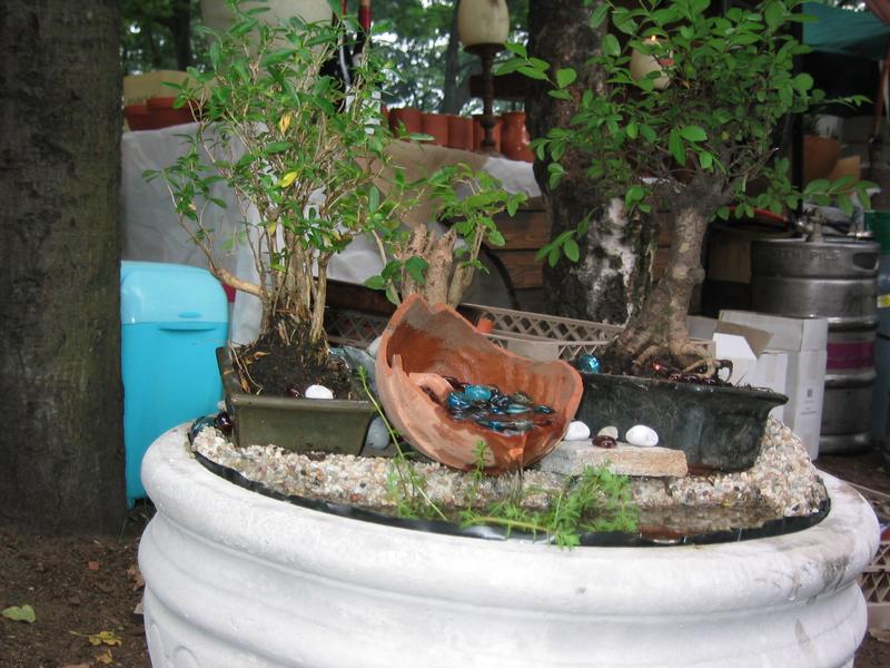 IMG 0338