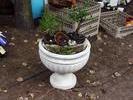IMG 0370