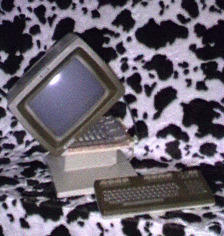 hp2623o.gif ( 224 x 236 image/gif )