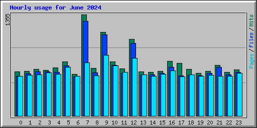 Hourly usage for June 2024