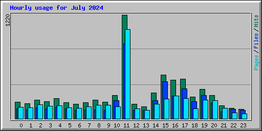 Hourly usage for July 2024