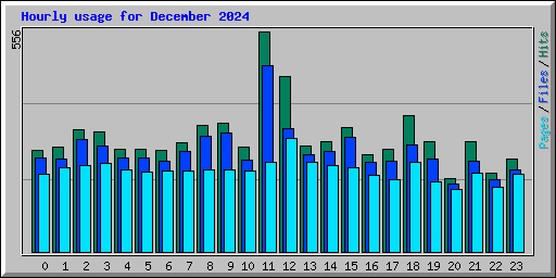 Hourly usage for December 2024