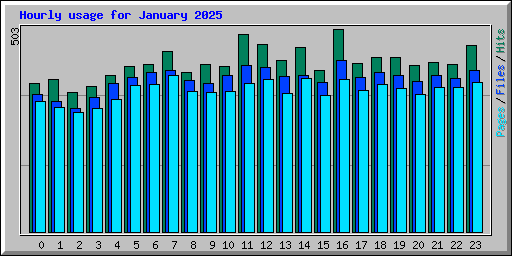 Hourly usage for January 2025