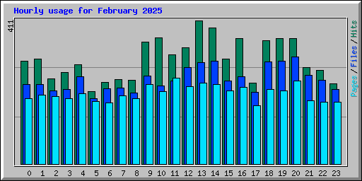 Hourly usage for February 2025