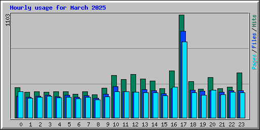 Hourly usage for March 2025