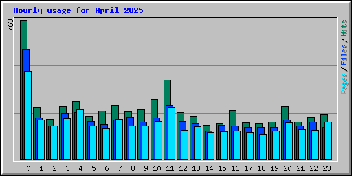Hourly usage for April 2025
