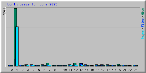 Hourly usage for June 2025