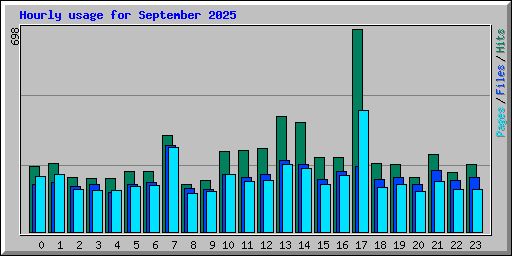 Hourly usage for September 2025