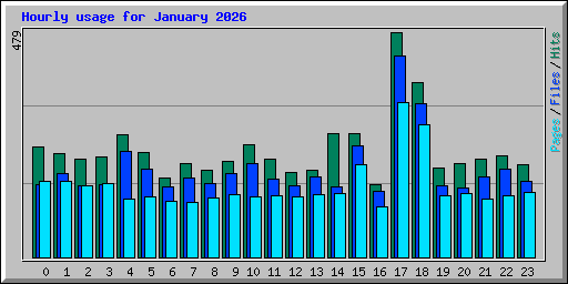 Hourly usage for January 2026