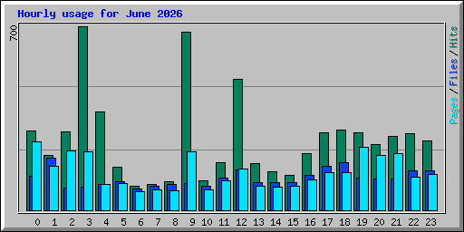 Hourly usage for June 2026