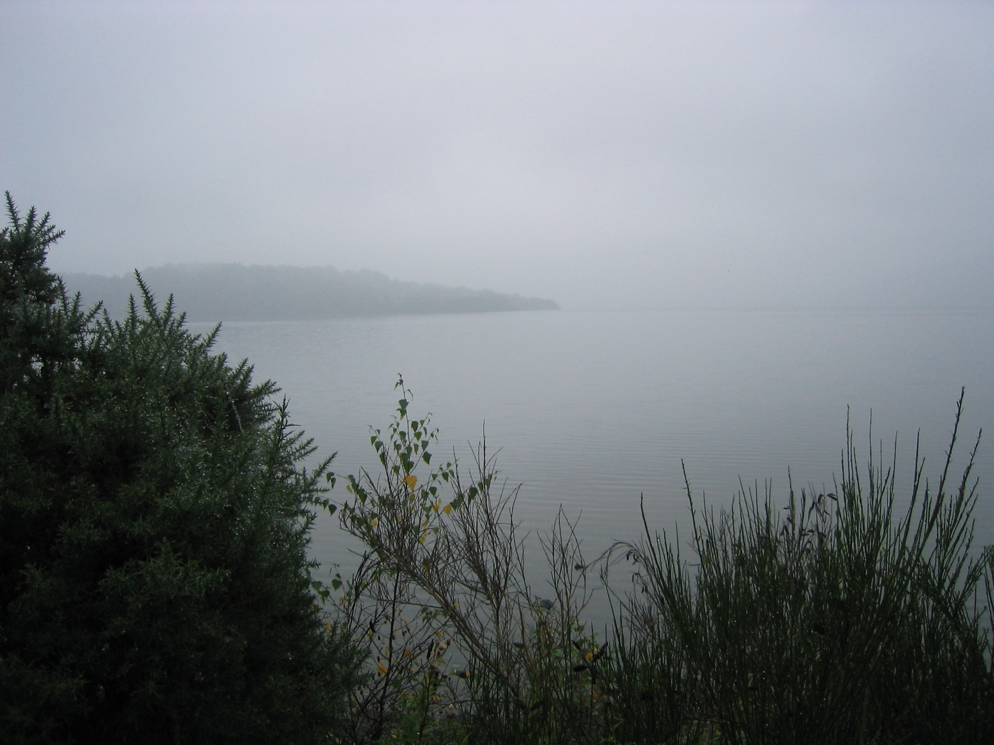IMG_2790.JPG