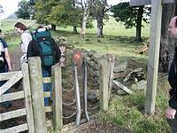 IMG_2753.JPG