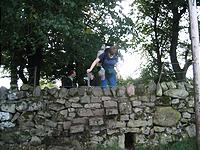 IMG_2755.JPG