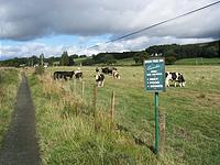 IMG_2758.JPG