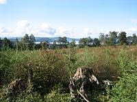 IMG_2771.JPG