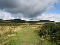 IMG_2774.JPG