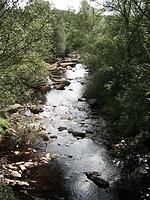 IMG_2775.JPG