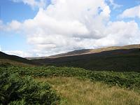 IMG_2776.JPG