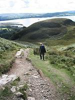 IMG_2784.JPG