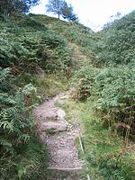 IMG_2785.JPG