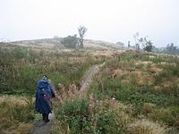 IMG_2789.JPG