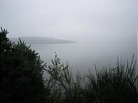 IMG_2790.JPG