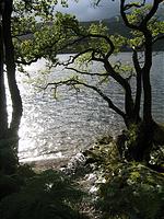 IMG_2801.JPG