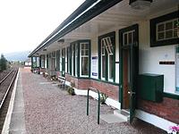 IMG_2825.JPG