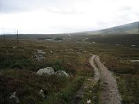 IMG_2839.JPG