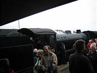 IMG_2892.JPG