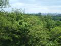 img067.jpeg.small.jpeg