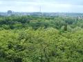img069.jpeg.small.jpeg